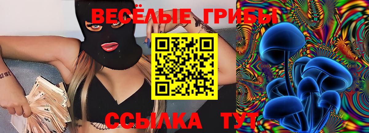Батайск  где можно купить наркотик  Вход с VPN  Галлюциногенные грибы прущие грибы 